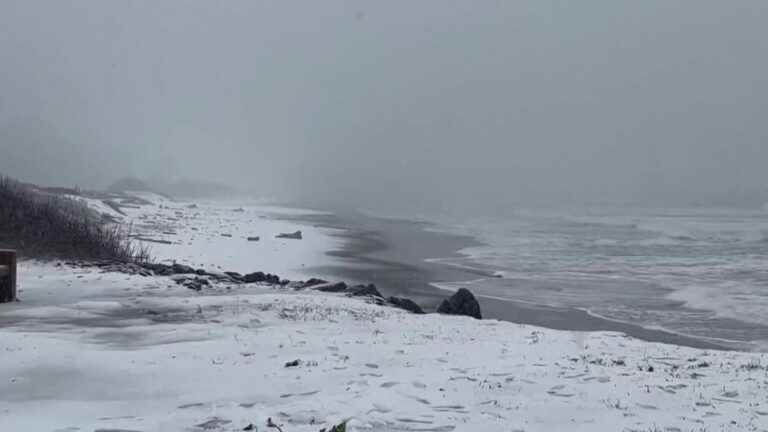 California covered in snow as historic winter storm hits