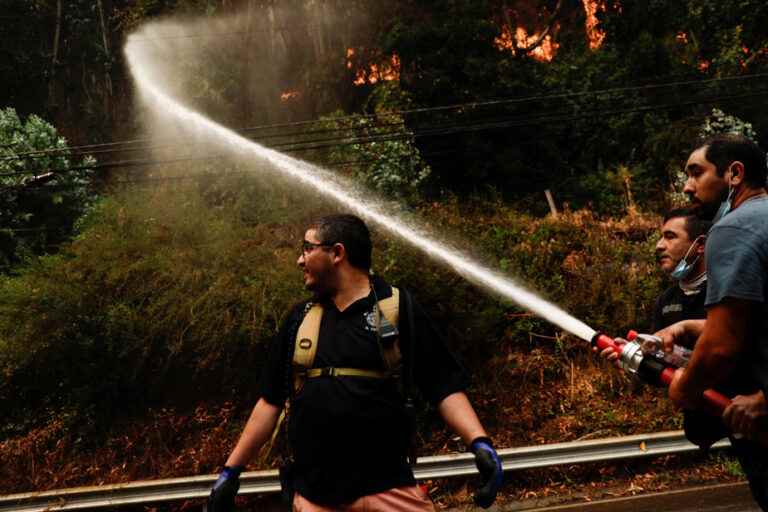 Chile |  Forest fires kill at least 13