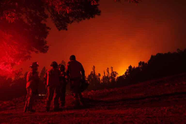 Chile |  International aid arrives to fight the fires