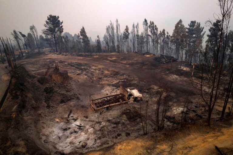 Chile |  “It was hell”, testifies a resident of a region ravaged by fires