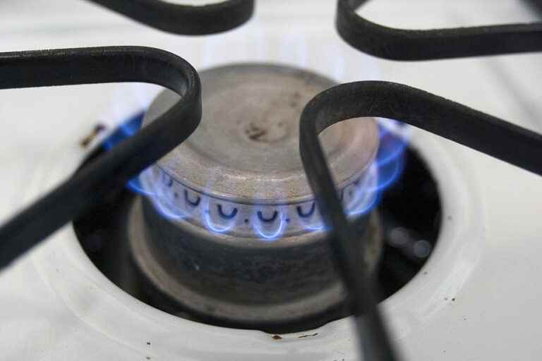 City of Montreal |  Elected officials recommend banning the installation of gas stoves