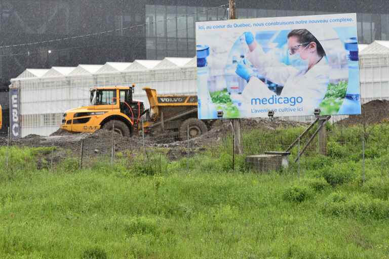 Closure of Medicago |  Champagne “in solutions mode” to protect jobs