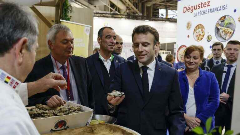 DIRECT.  The Agricultural Show opens its doors with the visit of Emmanuel Macron