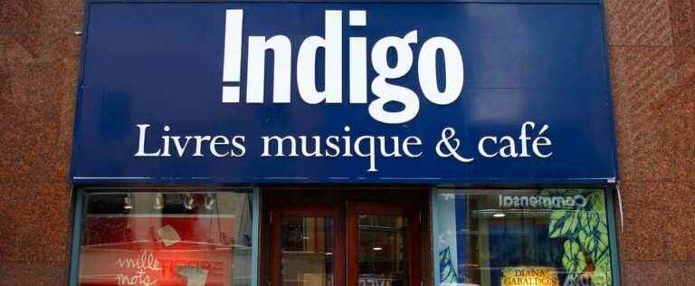 Data leak at Indigo: employees possibly compromised