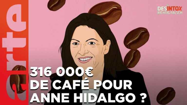 Detox.  No, Anne Hidalgo did not spend more than €316,000 during her presidential campaign.