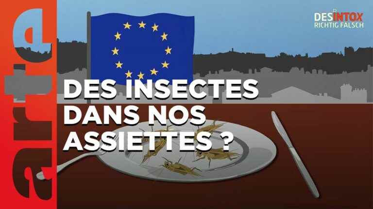 Detox.  No, the EU does not put insects on our plates.