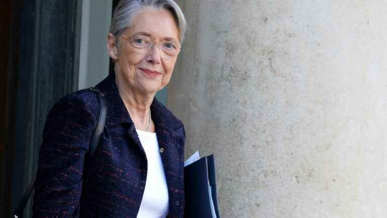 Elisabeth Borne will seek to reassure on alternatives to pesticides