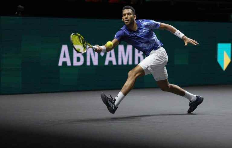 Félix Auger-Aliassime lost in straight sets to Daniil Medvedev in Rotterdam