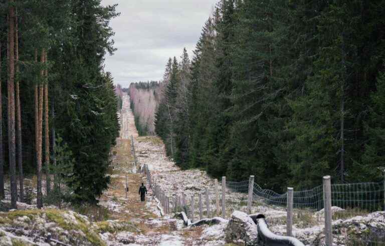 Finland starts building its fence along the border with Russia