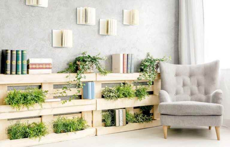 Five trendy ways to incorporate plants into your decor