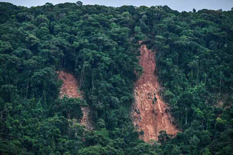 Floods in Brazil |  Death toll rises to 65