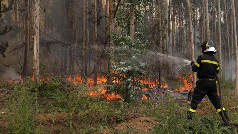 France sends 80 firefighters to fight deadly forest fires