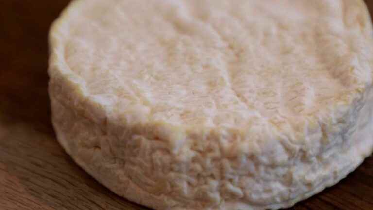 Gastronomy: a Brie made in the United Kingdom