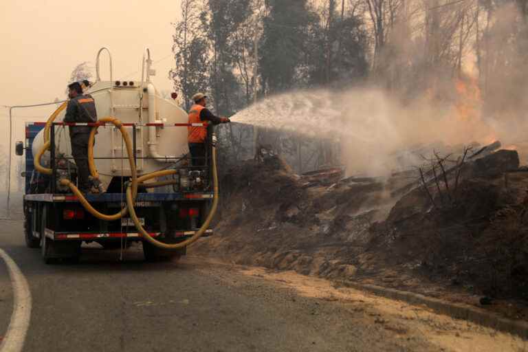 Heat wave |  At least 13 dead in more than 200 forest fires in Chile