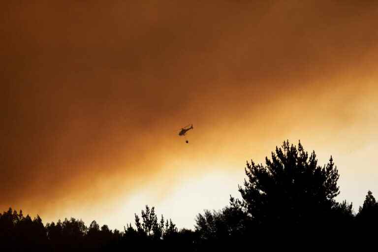 Heat wave in Chile |  Fires threaten new regions