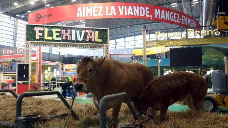 History information.  The Agricultural Show