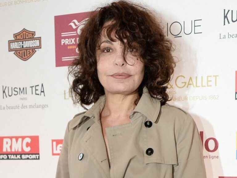 “I reacted hot!”, Isabelle Mergault, friend of Pierre Palmade, apologizes after a tweet that scandalized the Web!