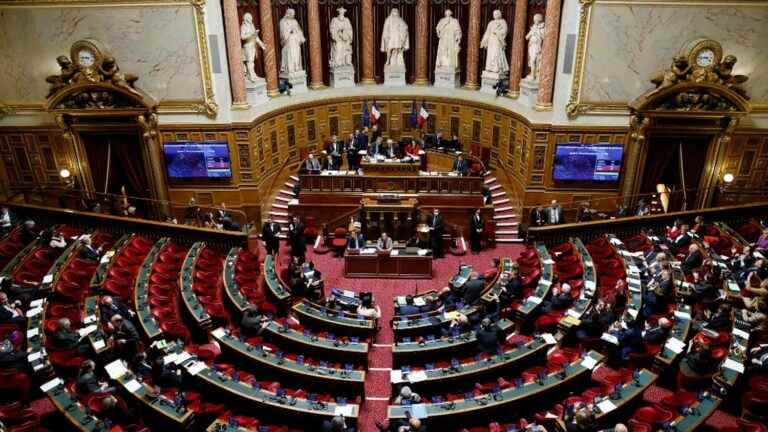 “In the Senate, we are not at the show”, tackle parliamentarians before the examination of the text