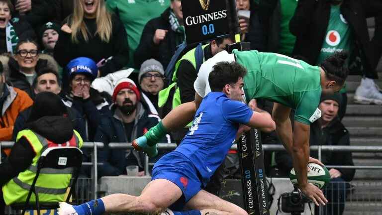 Irish winger James Lowe’s try should have been invalidated against the Blues