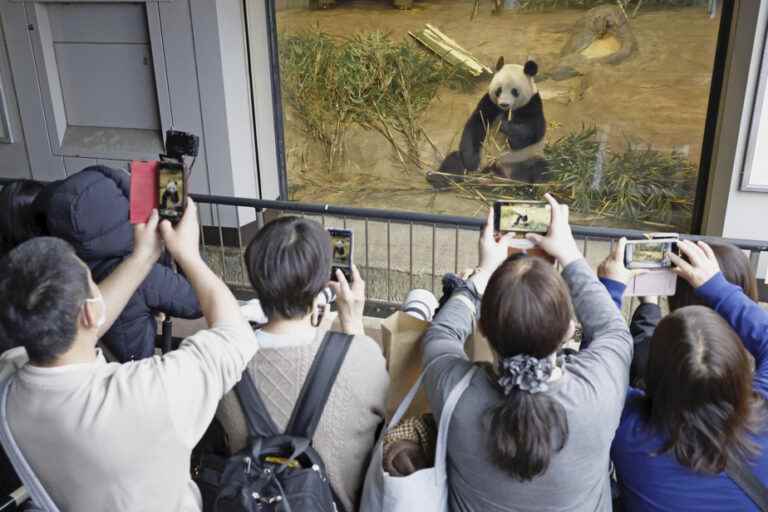 Japan bids farewell to four pandas returned to China