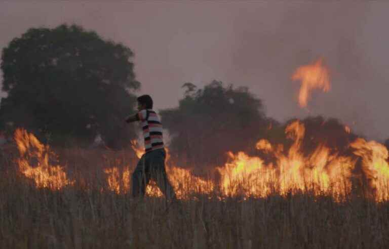 Killing a tiger, or the incredible fight of an Indian father to obtain justice for his daughter