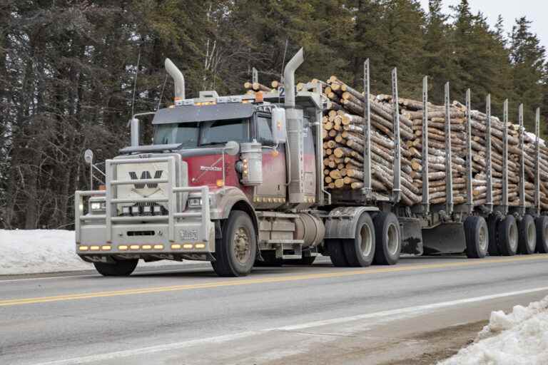 Lumber industry concerned about US protectionism