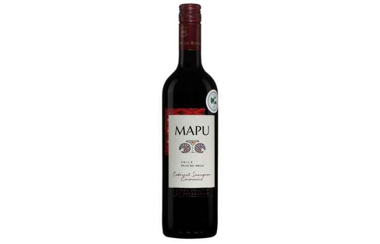 Mapu 2021, Baron Philippe de Rothschild, Chile