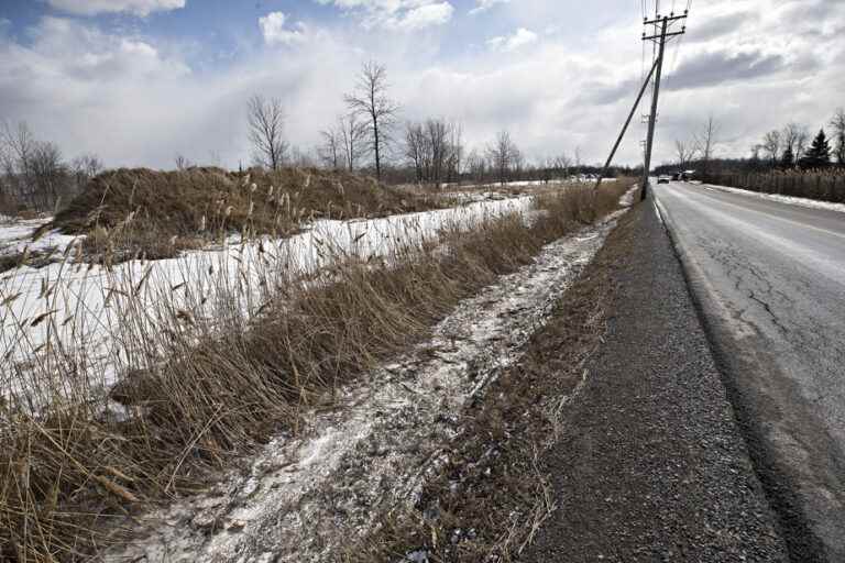 Monteregie |  A snowmobiler dies in Sainte-Hélène-de-Bagot