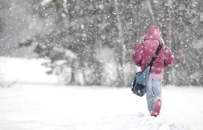 More than half of young Quebec women experience anxiety or depression