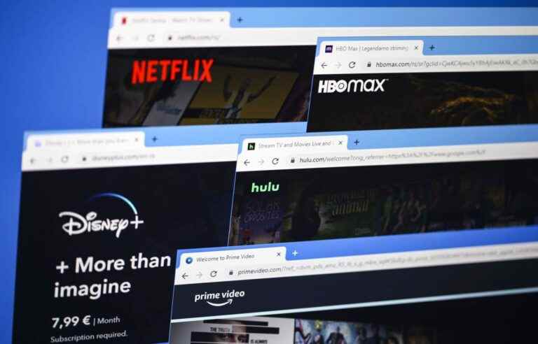 Netflix’s system against account sharing could be taken up by others