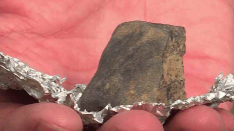 Normandy: a student finds a meteorite fragment