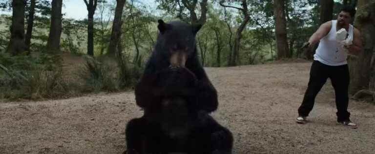 “Pablo Escobear”, the cocaine bear attacking Hollywood