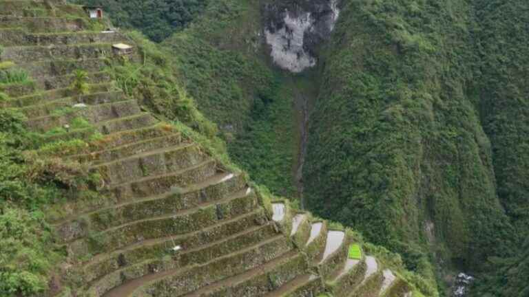 Philippines: Banaue rice terraces threatened by climate change