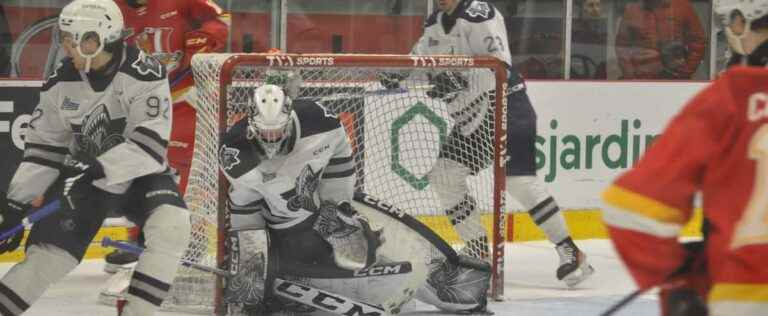 QMJHL: the Océanic takes revenge on the Drakkar in a shootout