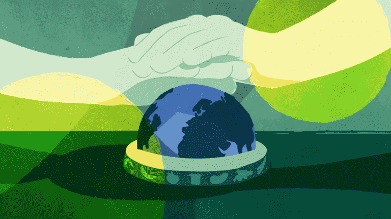 QUIZ.  Banana or steak?  Chicken or cheese?  Coffee or orange juice?  Guess which of these foods have the most impact on the climate