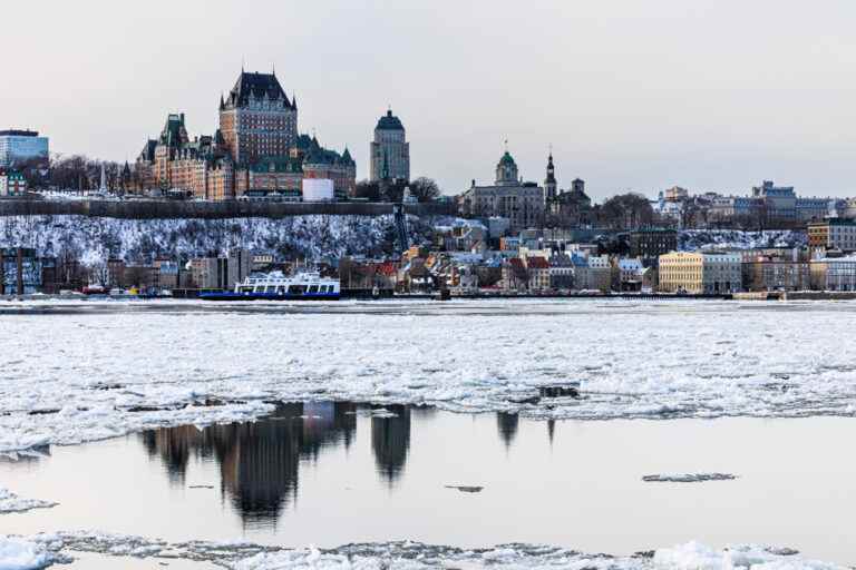 Quebec and its gourmet crown |  Lifted by the belly