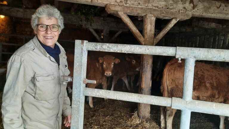 REPORTING.  In Haute-Vienne, a cattle breeder has been looking for buyers for three years to retire