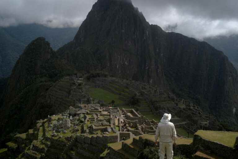 Reopening of Machu Picchu after 25 days of closure