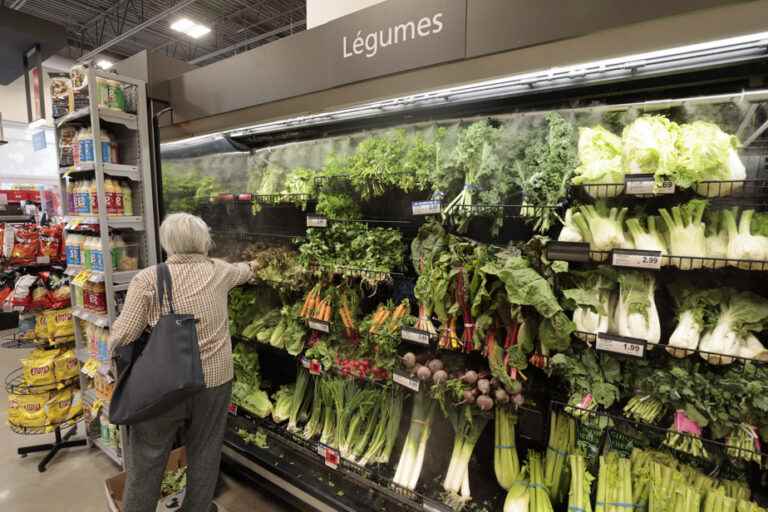 Rising food prices |  CEOs of major grocery chains summoned to Ottawa