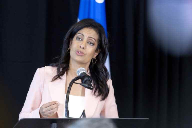 Saint-Henri–Sainte-Anne |  A former PLQ candidate will try to succeed Dominique Anglade