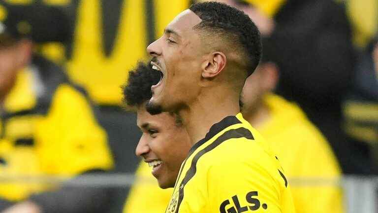 Sébastien Haller striker six months after being operated on for testicular cancer