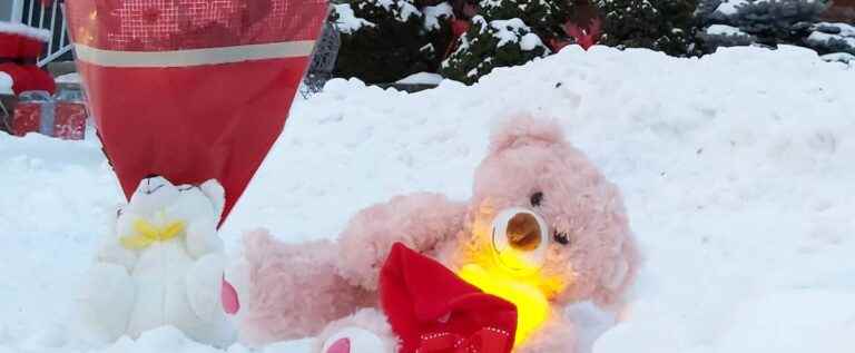 Seven-year-old girl who died in Laval: her mother did not scald her to death