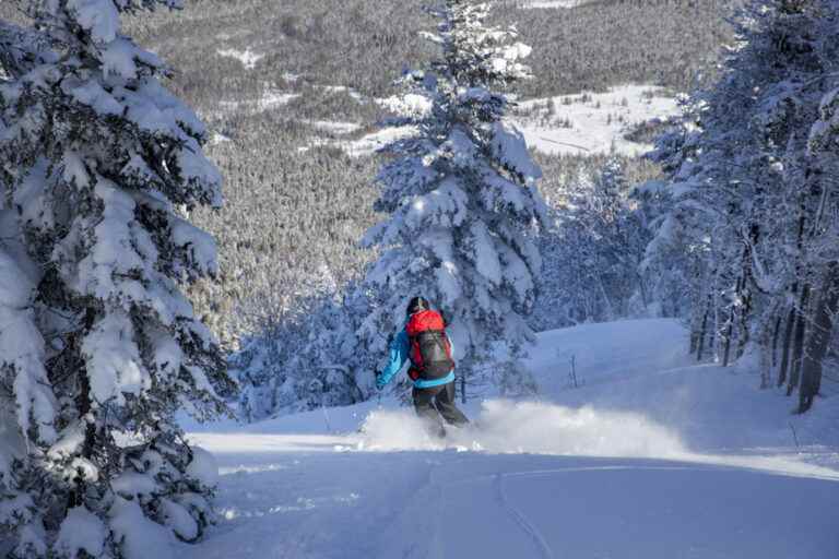 Ski mountaineering safety