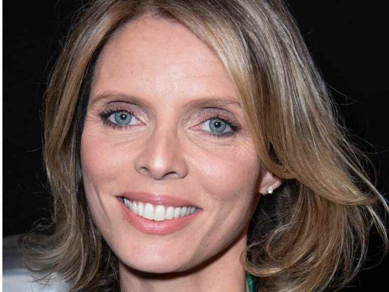 Sylvie Tellier’s call for a vote divides the web