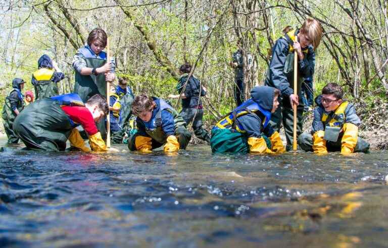 Teaching science and the environment in the field