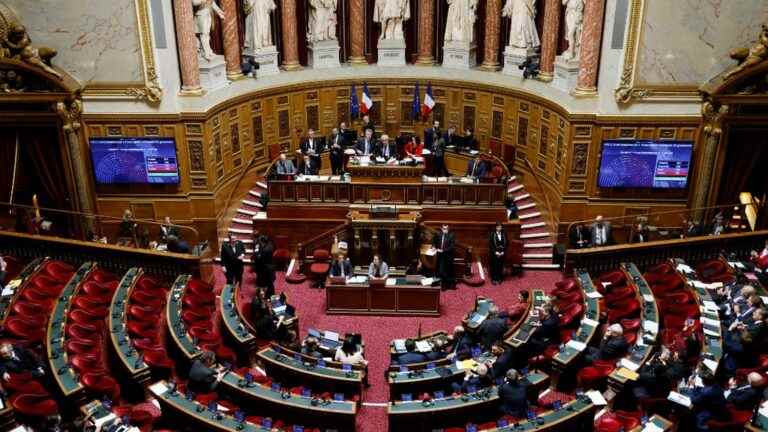 The Senate votes for the inclusion in the Constitution of the “freedom of women” to resort to abortion, a formulation which abandons the notion of “right”