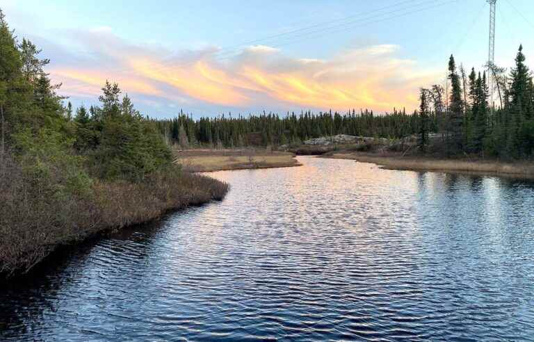 The boreal forest is in the sights of mining companies