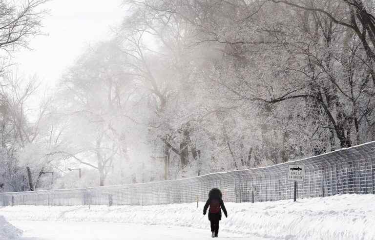 The cold wave gives way to milder weather