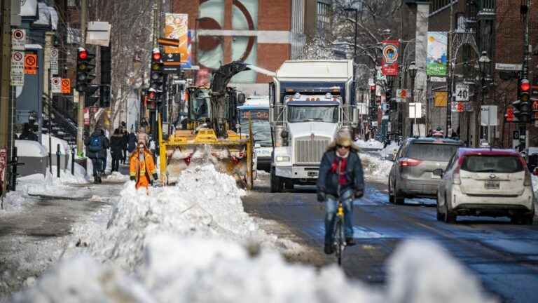 The northeastern United States and eastern Canada under historic polar cold