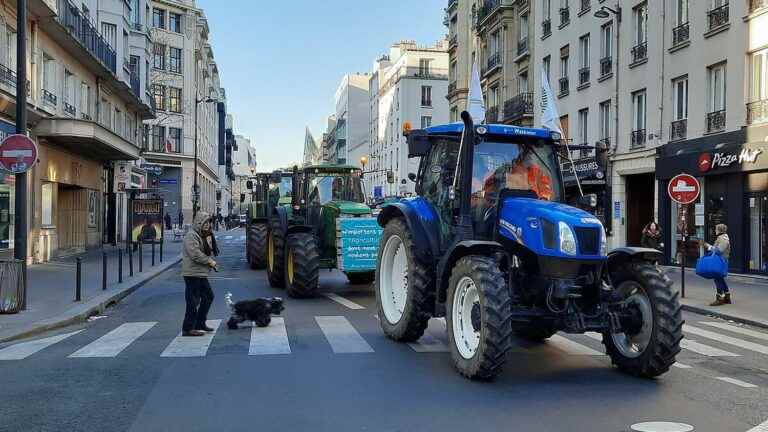 “There is no risk for food sovereignty if they are banned”, says the Confédération paysanne